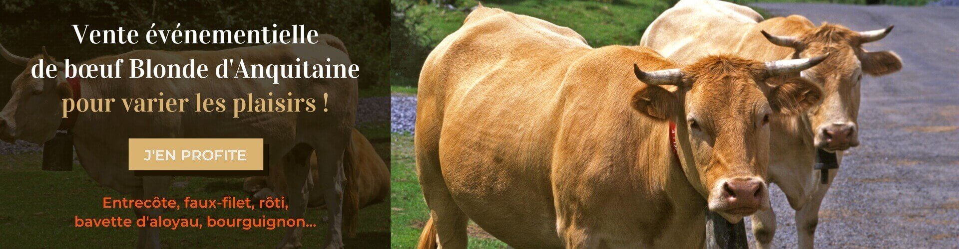 Boeuf Blonde d'Aquitaine